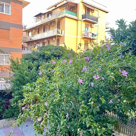 B&B Rainforest * 罗马